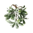 thumbnail image 1 of Cheapark Artificial Mistletoe Wall Hanging - Christmas Fireplace & Tree Accessory, Festive Greenery Decor for Indoor Holiday Gatherings, 1 of 7