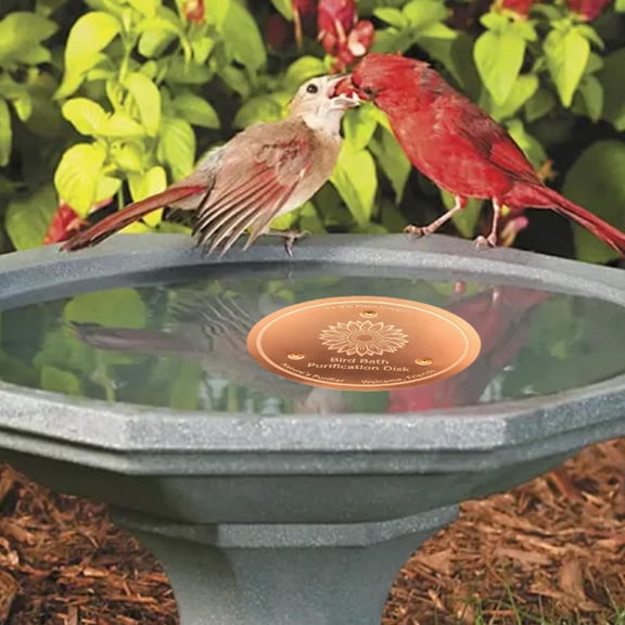 Cheapark Bird Bath Cleaner Metal Water Purifier for Outdoor Garden Bird Bath Water Ripple Maker Keep Water Fresh Accessory Gift