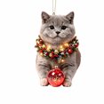thumbnail image 1 of Cheapark Christmas 2D Acrylic Hanging Ornament Flat Holiday Pendant Decoration for Xmas Tree Seasonal Decor Gift, 1 of 6