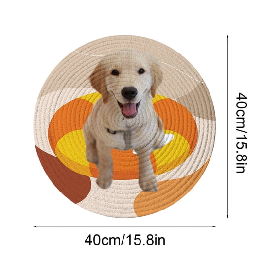 Cheapark Custom Pet Picture Crystal Velvet Carpet Washable Rug For Living Room Bedroom Dog Cat Lover Gift Home Decor