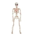 thumbnail image 1 of Cheapark Halloween Skeleton Decoration - Realistic Prop For Indoor Outdoor Scary Scene, Holiday House Party Decoration, 1 of 8