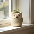thumbnail image 1 of Cheapark Owl Ceramic Planter Succulent Flower Pot for indoor room windowsill balcony garden plant display area home gardening decor creative ceramic plant container Gift, 1 of 6