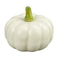 thumbnail image 1 of Cheapark Plastic Pumpkin Model - Photography Prop Vegetable Replica For Stage Display Window Shop Decor, 1 of 6