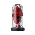 thumbnail image 1 of Cheapark Preserved Forever Rose Bouquet in Clear Plastic Dome - Long-Lasting Romantic Flowers Presents for Women Wives Girlfriend Brides Valentine's Day Anniversary Gifts, 1 of 8