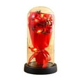 thumbnail image 1 of Cheapark Preserved Rose Bouquet in Glass Dome - Light-Up Eternal Flower Gift for Her, Mom, Girlfriend or Wife, Perfect Valentine’s Day & Birthday Surprise, 1 of 6