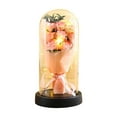 thumbnail image 1 of Cheapark Preserved Rose Bouquet in Glass Dome - Light-Up Eternal Flower Gift for Her, Mom, Girlfriend or Wife, Perfect Valentine’s Day & Birthday Surprise, 1 of 6