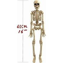 Cheapark Simulation Skeleton Decoration For House Holiday Scene Props Halloween Spooky Decor Indoor Outdoor