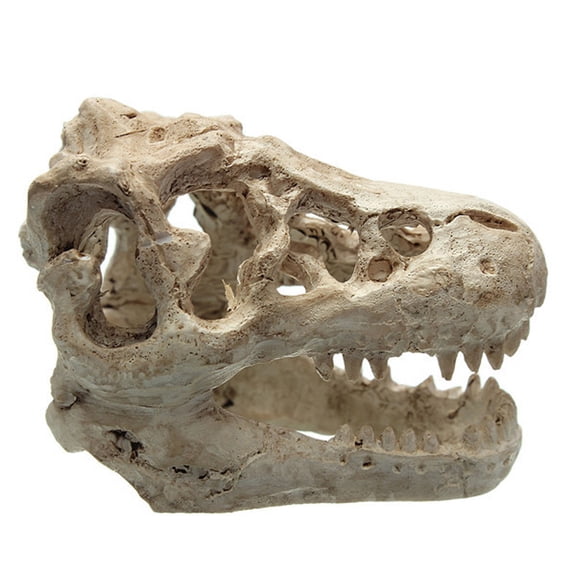 Cheapark Skull Crawling Dragon Aquarium Resin Ornament Fish Tank Landscape Statue Gothic Hollow Hideout Decor for Aquatic Tank Halloween Themed Underwater Scene Layout Supply Gift