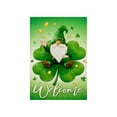 thumbnail image 1 of Cheapark St. Patrick's Day Garden Flag, 18x12 Inches, 1 of 6