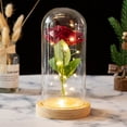 thumbnail image 1 of Cheapark Valentine's Day LED Night Light 3 Rose Glass Lampshade Ornament Battery Operated Soft Glow For Home Holiday Decor, 1 of 6