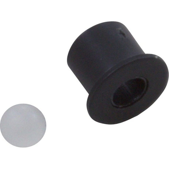 Check Valve Assembly, Waterway Poly Jet, Barb Air