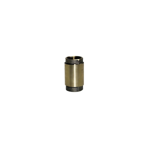 Water Source CV-100NL Check Valve, Brass, 1-In. - Quantity 1