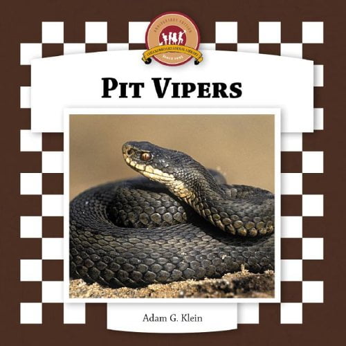 Pre-Owned Checkerboard Animal Library: Pit Vipers (Hardcover) - Walmart.com