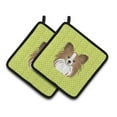 thumbnail image 1 of Checkerboard Lime Green Papillon Pair of Pot Holders, 1 of 1