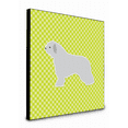 thumbnail image 1 of Spanish Water Dog Checkerboard Green Artwork Wall Panel, 1 of 1