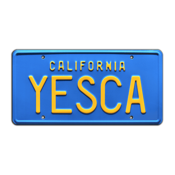Cheech & Chongs Up in Smoke | Fiberweed Van | YESCA | Metal Stamped Replica Prop License Plate