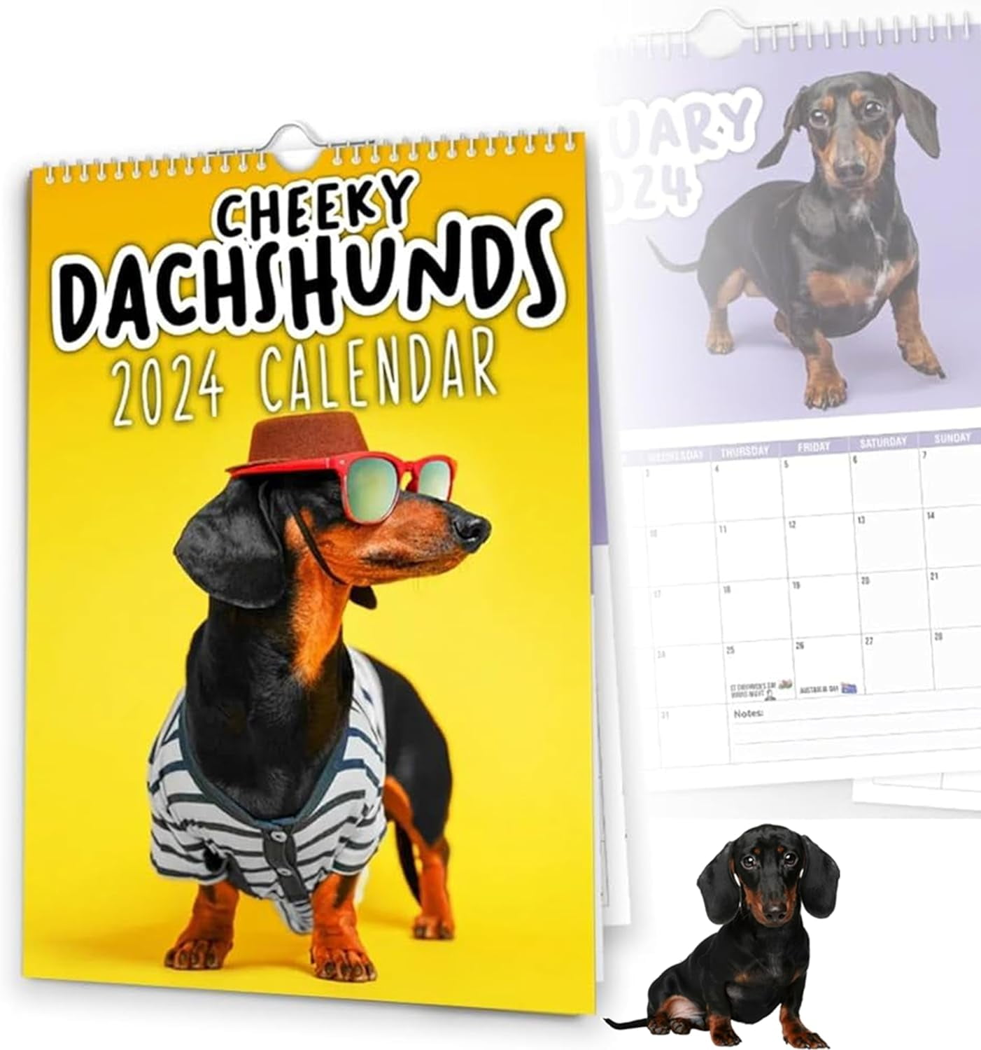 Cheeky Dachshunds 2025 Funny Dogs Calendar, Cool Puppy Wall Calendar