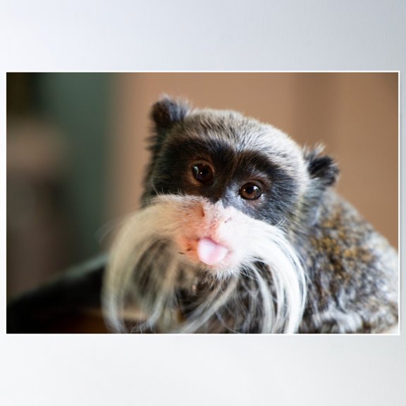 Cheeky Moustache Monkey! Poster Wall Art, Modern Wall Decor For Living Room Bedroom, 12x18 UNFRAMED