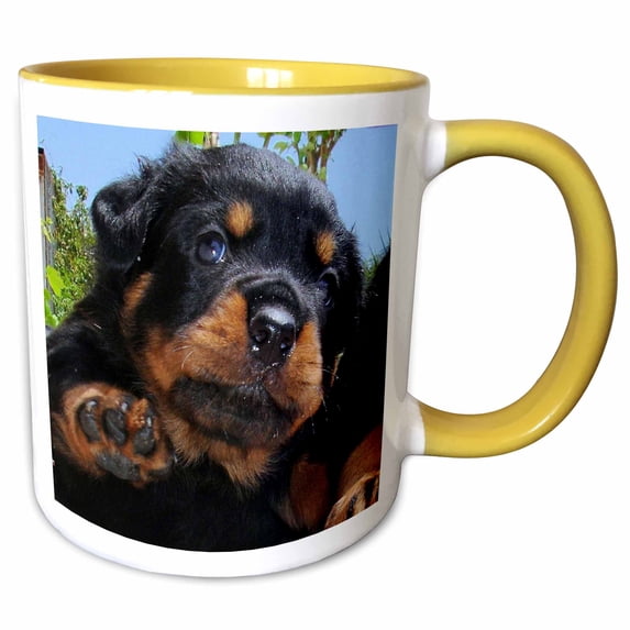 Cheeky rottweiler puppy with tilted head and raising right front paw 11oz Two-Tone Yellow Mug mug-333793-8
