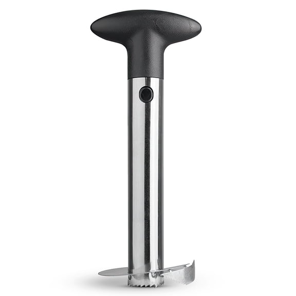 Cheer Collection Pineapple Corer And Slicer