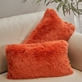 thumbnail image 1 of Cheer Collection Shaggy Long Hair Throw Pillows - Super Soft and Plush Faux Fur Lumbar Accent Pillows - 12 x 20 - Set of 2, 1 of 1
