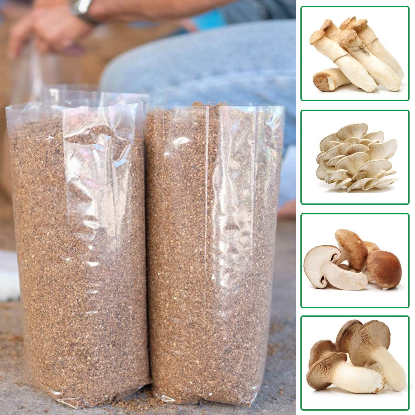 Cheer.US 10Pcs/Bag Mushroom Grow Bags Mushroom Spawn Bags for CO2