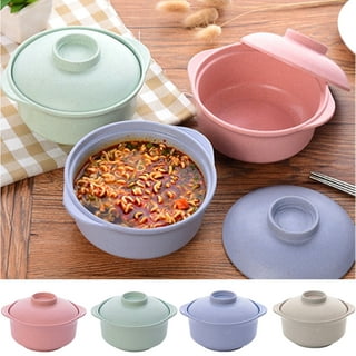 Food-Safe Plastic Noodle Bowl to Go with Lid and Handles - China