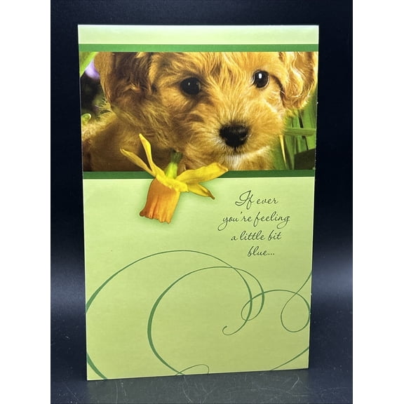 Cheer Up Greeting Card w/Envelope