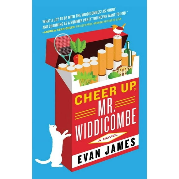 Cheer Up, Mr. Widdicombe : A Novel (Paperback)