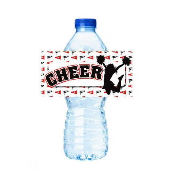 Cheer Party Decoration 15ct Water Bottle Label Stickers