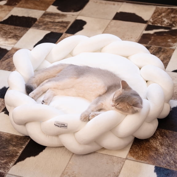Photo inspiration: Visual Reference: Cattasaurus Peekaboo Cat Cave Tunnel Bed For Cats Up To