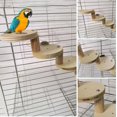 thumbnail image 1 of Cheers.US 1 Set Hamster Ladder High Stability Detachable Solid Climbing Stairs Birds Parrot Exercise Perches Stand,Solid, Compact for Small Animal to Use for Exercise, 1 of 8