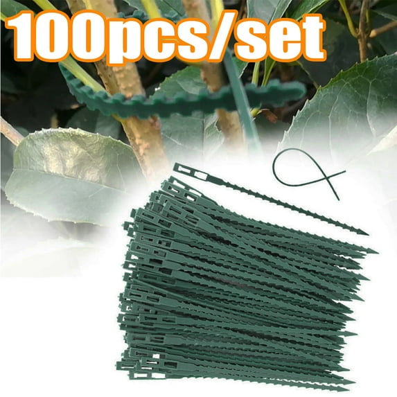Cheers.US 100Pcs Reusable Green Gentle Gardening Plant & Flower Lever Loop Gripper Clips Reusable Plastic Landscape Fishbone Spur Plant Belt Band Ties Garden ToolsShort
