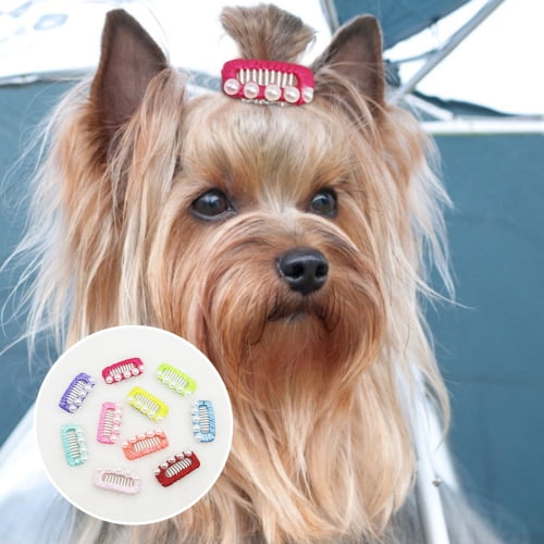 Cheers.US 10Pcs Pet Hair Pin Fashion Faux Pearl Decor Random Color Cute Dog  Puppy Hair Barrette Pet Supplies for Pet Birthday,Daily Wear is Also a Good  Choice 