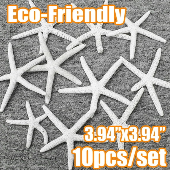 Cheers.US 10Pcs/Set Starfish Ocean Beach Starfish-Natural Seashells Starfish Perfect for Wedding Decor Beach Theme Party, Home Decorations,DIY Crafts, Fish Tank-3.94"