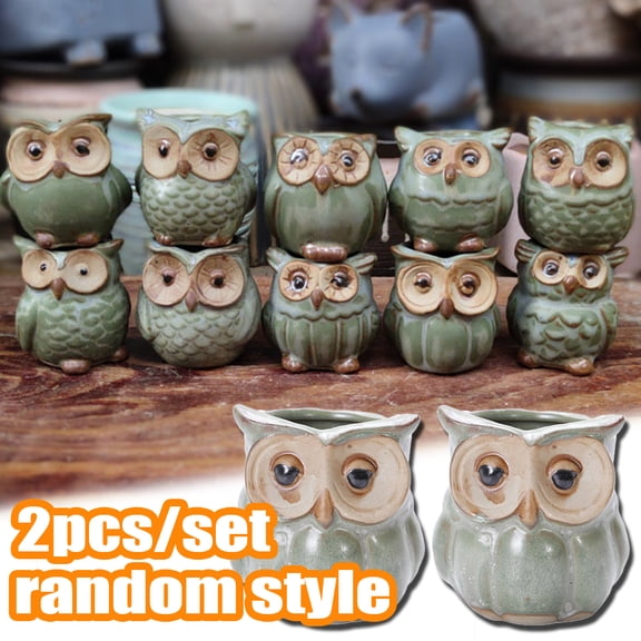 Cheers.US 2 Pcs/Set Owl Succulent Animal Planter PotCeramic Owl Succulent Pots Cute Animal Plant Planters Small Ceramic Glaze Container with Drainage - Tiny Holder for Plants, Flowers