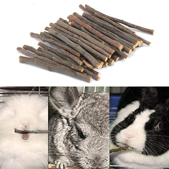 Cheers.US 20/40/60Pcs Wood Chew Sticks Twigs String Molar Pet Rabbit Hamster Chinchilla Toys