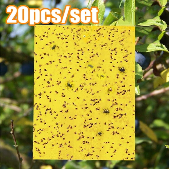 Cheers.US 20Pcs/Set Yellow Sticky Gnat Traps Killer for Indoor/Outdoor Flying Plant Insect Like Fungus Gnats, Whiteflies, Aphids, Leaf Miners, Other Flying Plant Insects, Twist Ties Included
