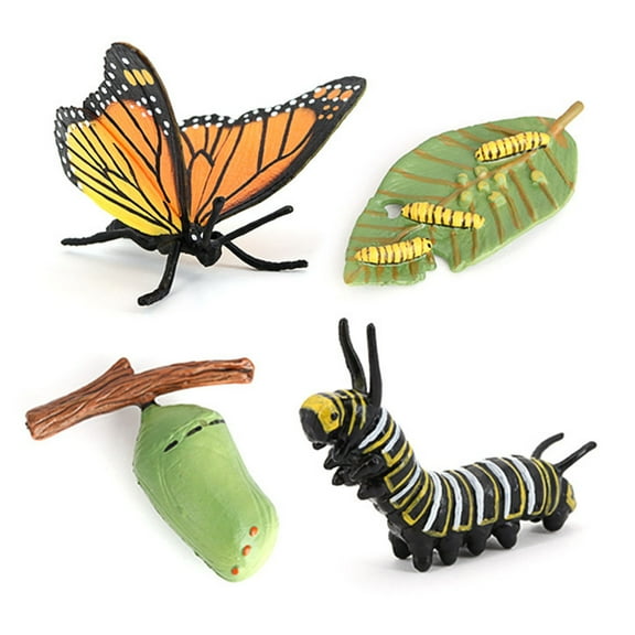 Cheers.US 4Pcs/5Pcs Frog Life Cycle Figurines Grow Fake Plastic Frog Tadpole to Frog Model Learning Educational Aids Teaching Toys