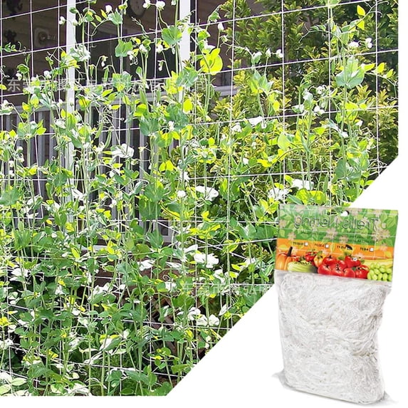 Cheers.US 5/10m Netting For Morning Glory Vine Flowers Garden Plants Climbing Net