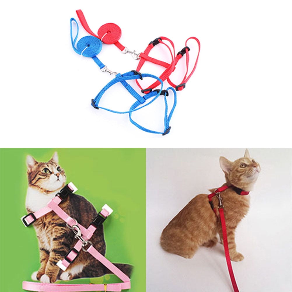 View of Cheers.US Adjustable Nylon Cat Puppy Pet Harness Collar Lead Leash ...