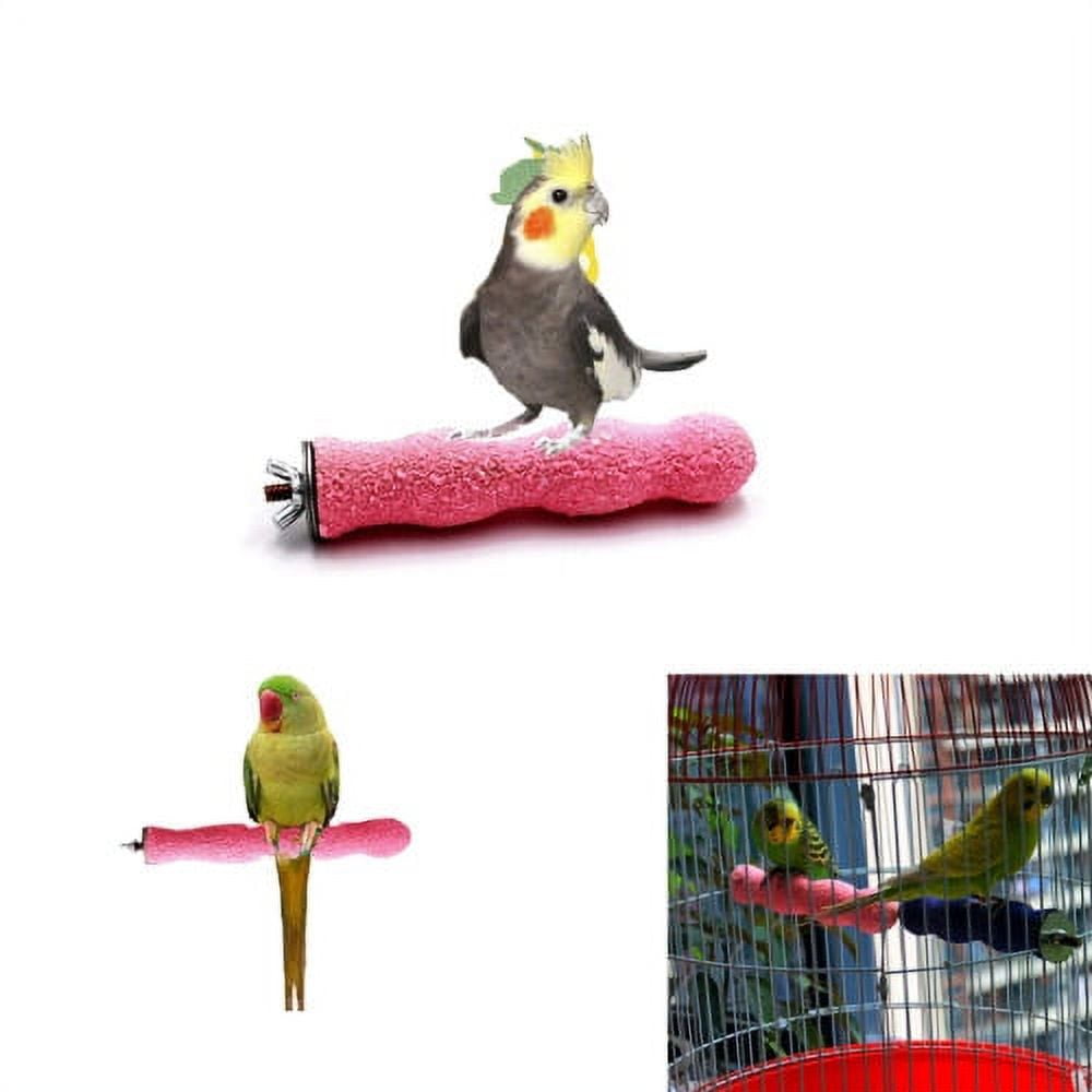 View of Cheers.US Bird Claw Beak Grinding Bar Parrot Teeth Stone Stick Pet Chew ...