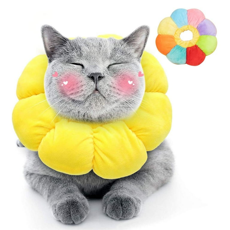 Recovery collar hot sale cat