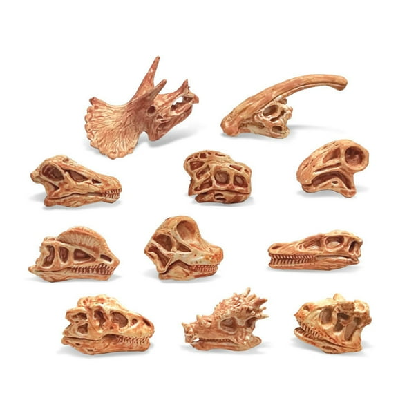 Cheers.US Dinosaur Skull High Simulation Aquarium Decor Plastic Fossil Teaching Skeleton Model for Collectors Imulated Shape, Clear Texture, Vivid Color, Moderate Size Design, Attractive and Creative