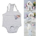 thumbnail image 1 of Cheers.US Dog Diaper Striped Sanitary Pantie Suspender Washable Reusable Puppy Sanitary Panties Cute Pet Underwear Diaper Jumpsuits for Female Dogs, 1 of 15
