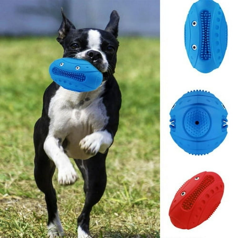 Squeaky disc cheap dog toy