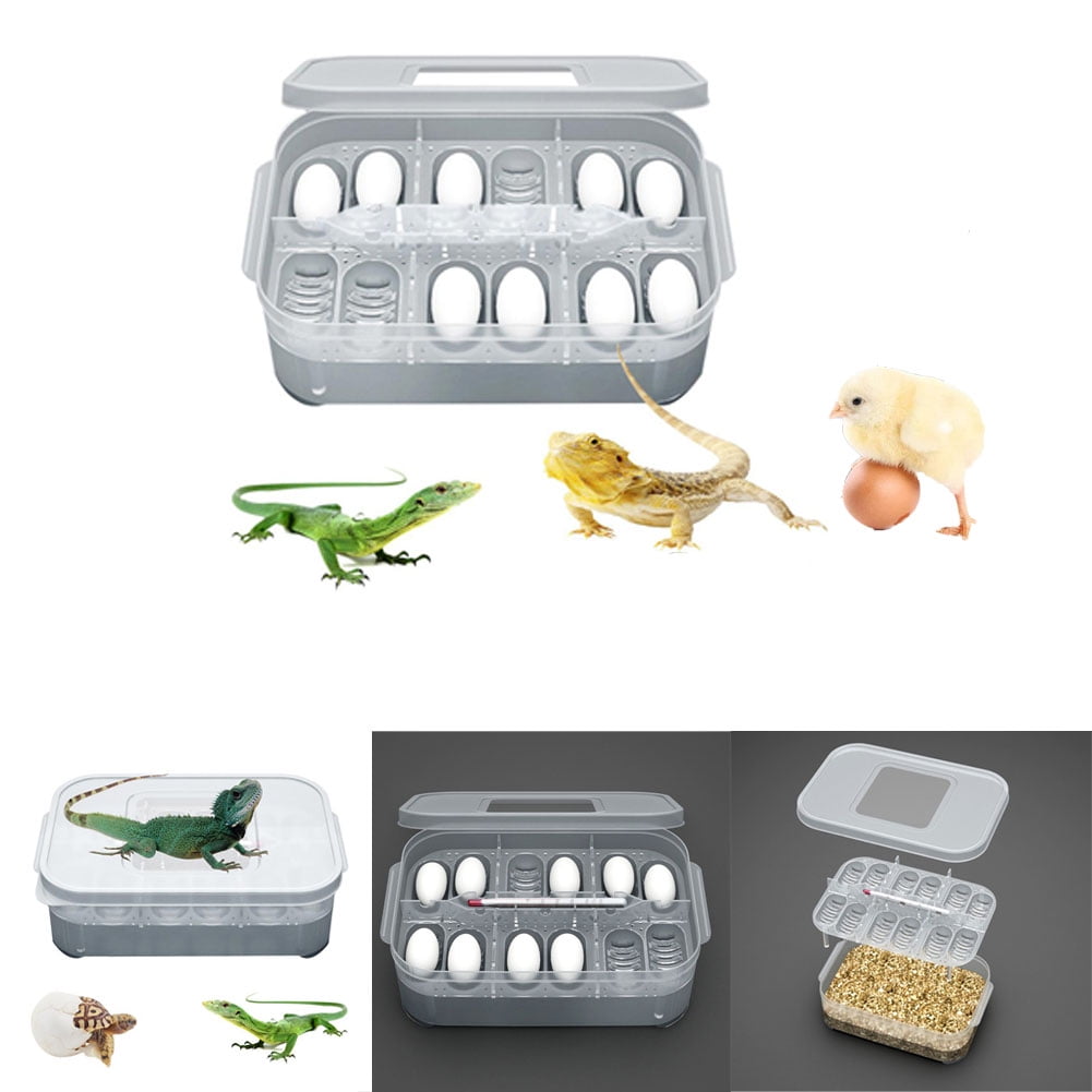 Cheers.US Egg Incubator Temperature Control Device Incubation for Heat Preservation and Mini 12 Egg Incubator Breeder for Chicken, Ducks, Birds