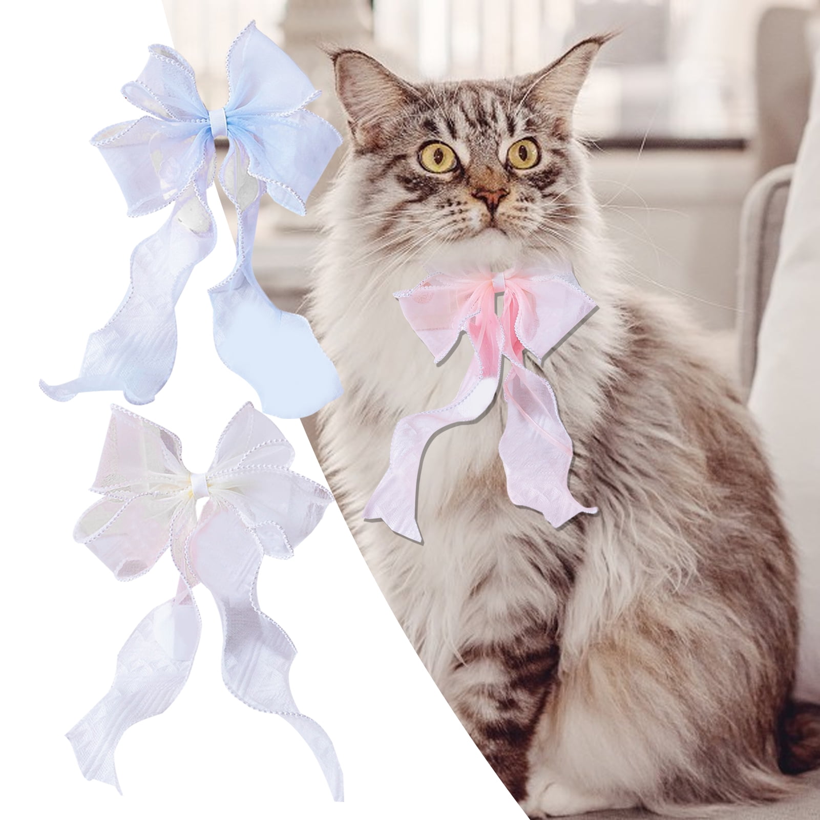 Cat ribbon clearance collar