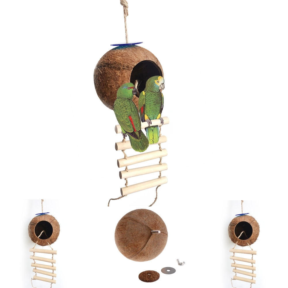 Cheers.US Hanging Bird House with Ladder Shell Bird Nest Coconut Shell ...