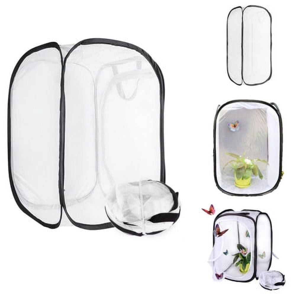 Cheers.US Insect and Butterfly Habitat Cage Terrarium Mesh Collapsible